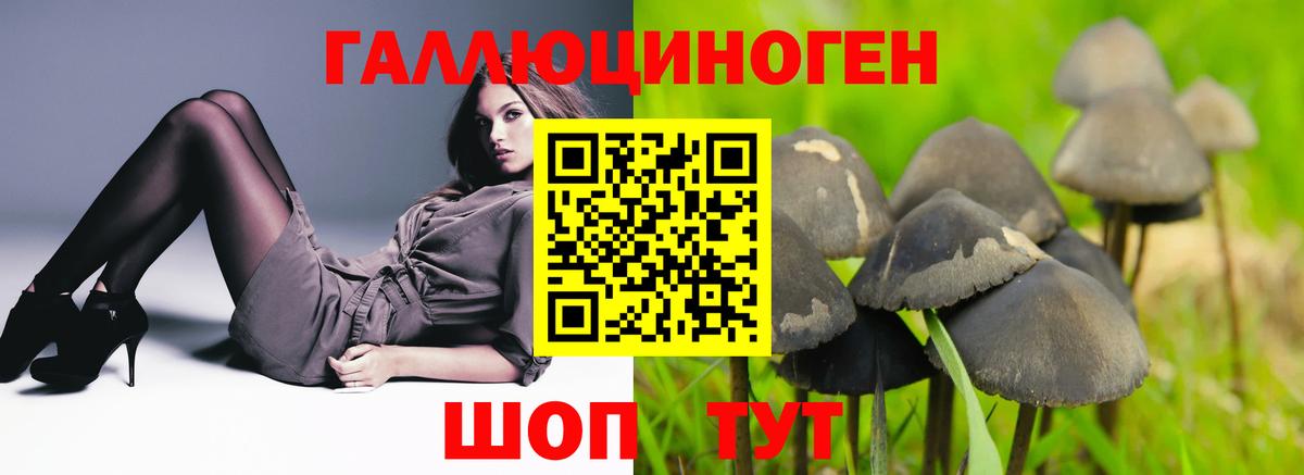 Галлюциногенные грибы мухоморы Кизляр